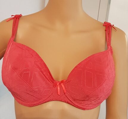 BH von Prima Donna