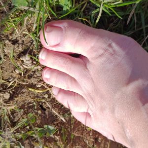 11 Bilder Frühling Füsse auf der Wiese