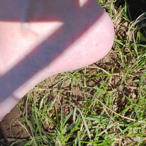 11 Bilder Frühling Füsse auf der Wiese