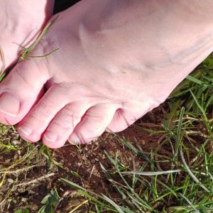 11 Bilder Frühling Füsse auf der Wiese