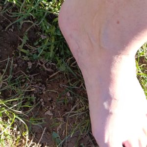 11 Bilder Frühling Füsse auf der Wiese