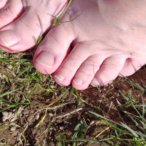 11 Bilder Frühling Füsse auf der Wiese