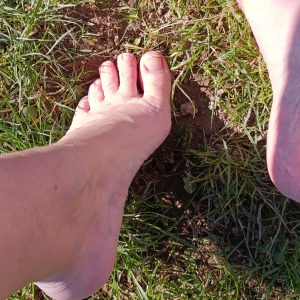 11 Bilder Frühling Füsse auf der Wiese