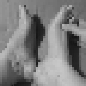 5 hochwertige schwarz - weiß Fotos meiner süßen, tätowierten Füße