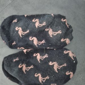 Füßlinge mit Flamingos