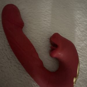 Gebrauchtes Sexspielzeug