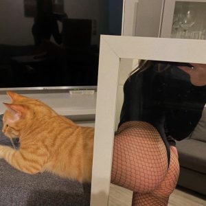 Fußbild