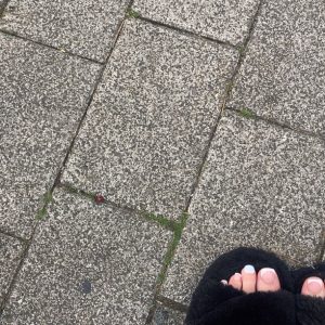 Socken