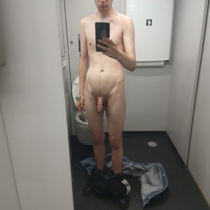 Penis bild